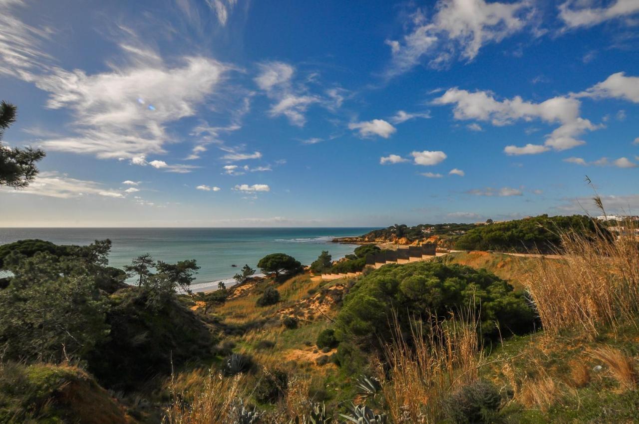 Pousada Casa Da Bia By Ocvillas Albufeira