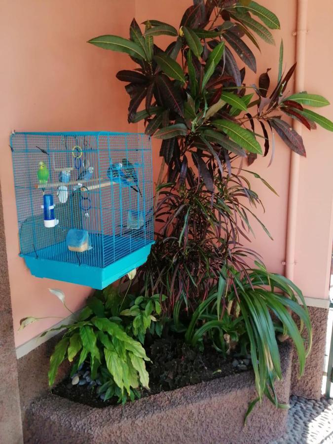A Casa Do Caseiro Guest house 2*
