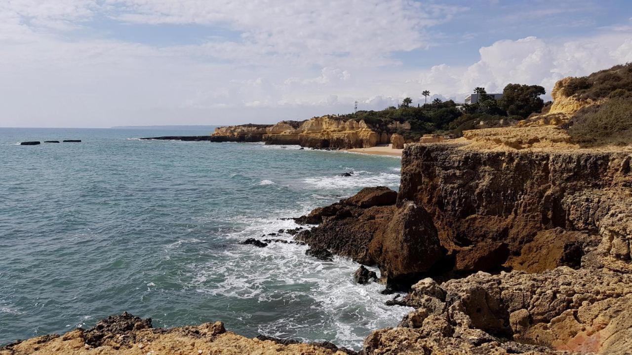Apartment Albufeira, With Terrace, Views, 5 Min To