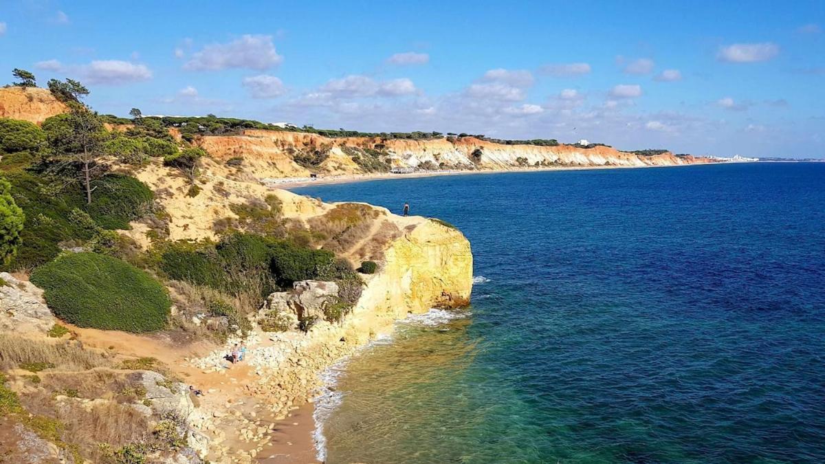 Ocean View * Albufeira