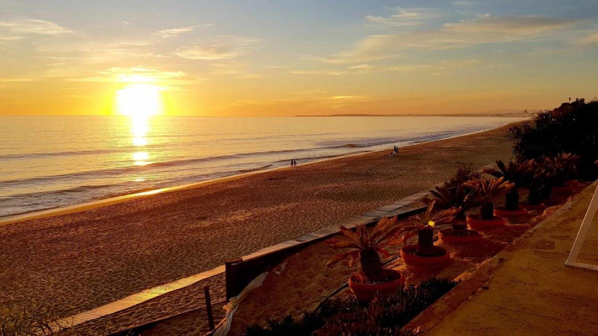 Ocean View * Albufeira