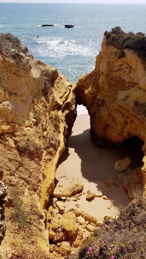 Ocean View Apartment Albufeira
