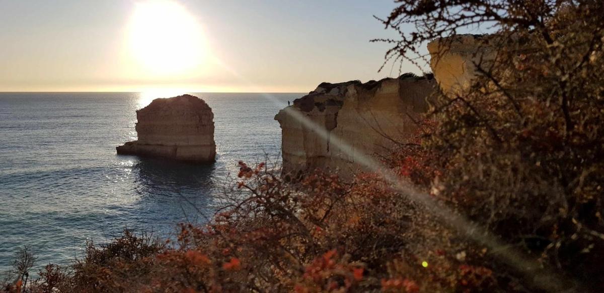 Ocean View Apartment Albufeira