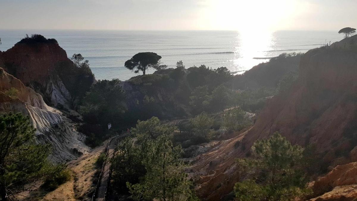 Ocean View