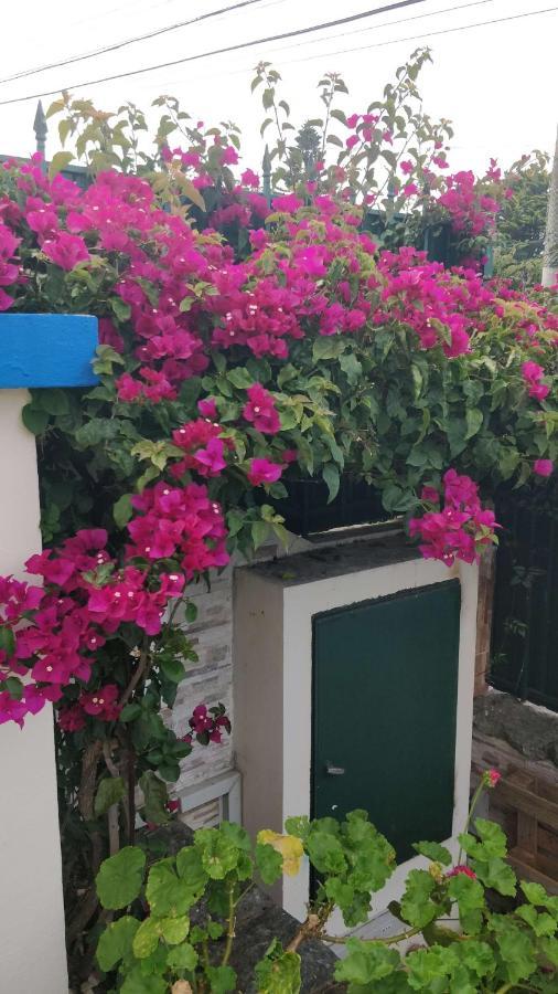 Guest house Casa Birre Guesthouse Cascais