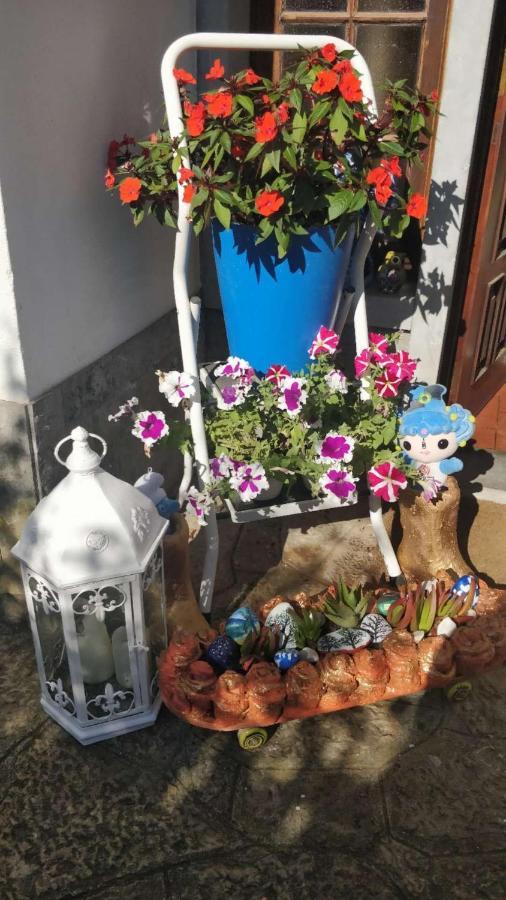Casa Birre Guesthouse Guest house