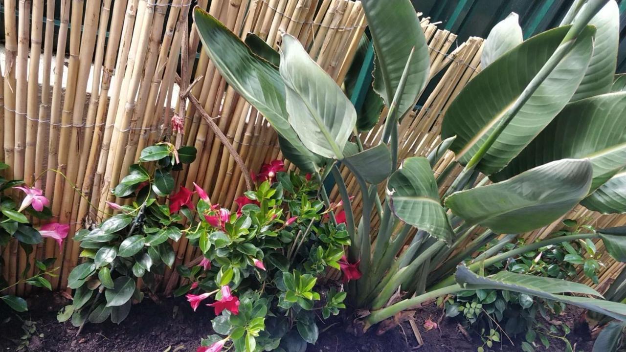 Casa Birre Guesthouse Guest house *