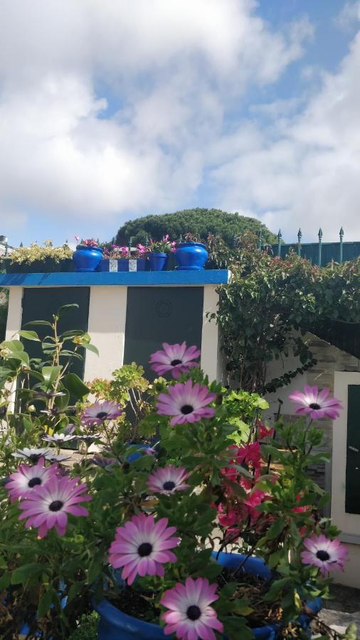 Casa Birre Guesthouse Guest house Cascais