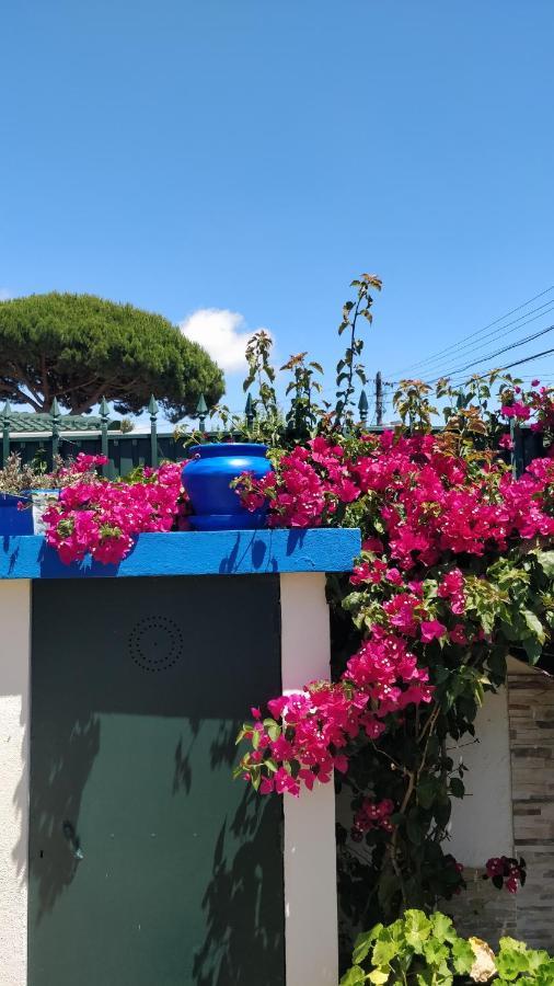 Guest house Casa Birre Guesthouse *