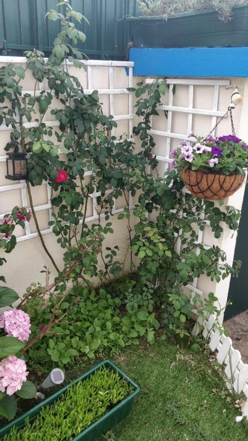 Casa Birre Guesthouse Guest house Cascais