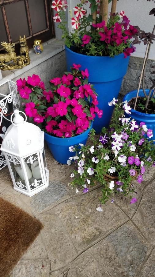 Guest house Casa Birre Guesthouse *