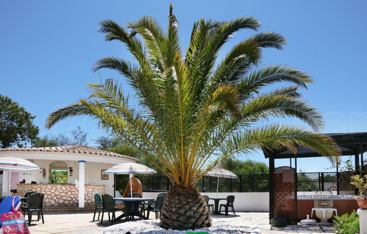 Apartamento Casa Beachcomber *