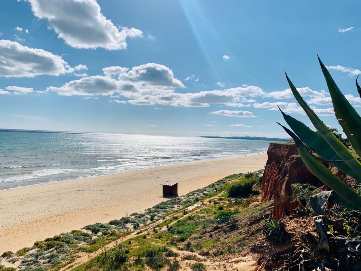 *algarvianstudio-vilamoura Centre* Apartment