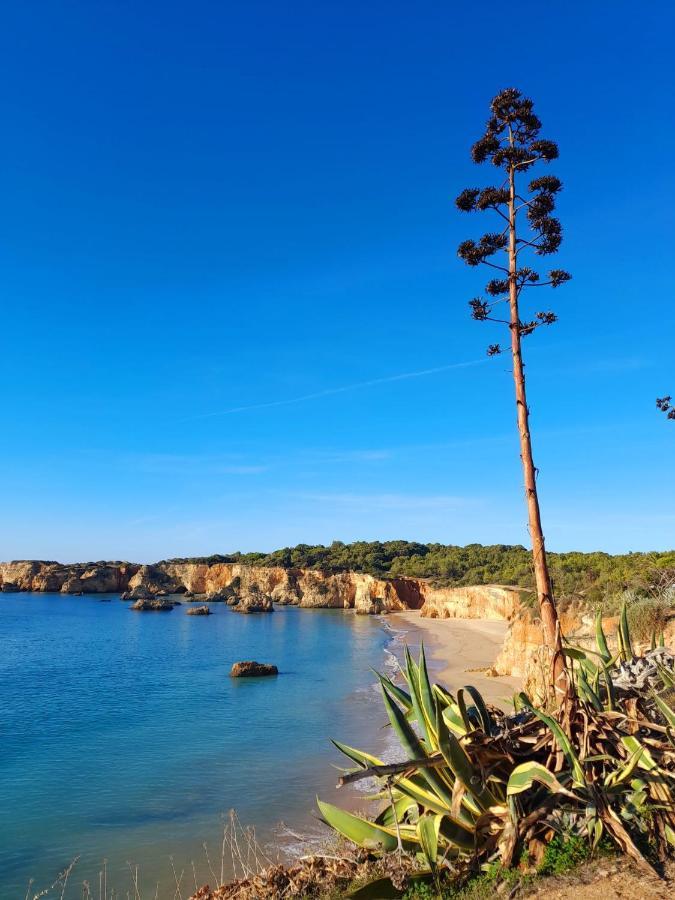 Harmony Portimao