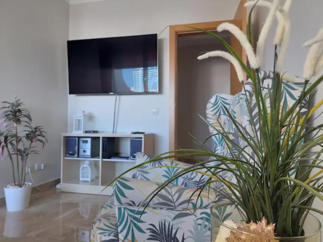 Rocha Dreamhouse 2 - Folgado & Borges Lda Portimao