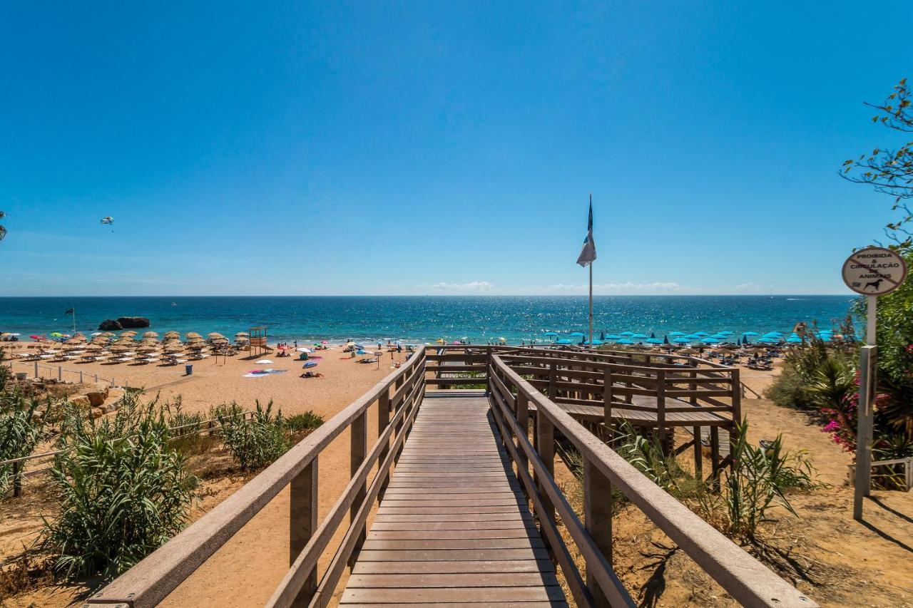 Canto Mar By Alzira
