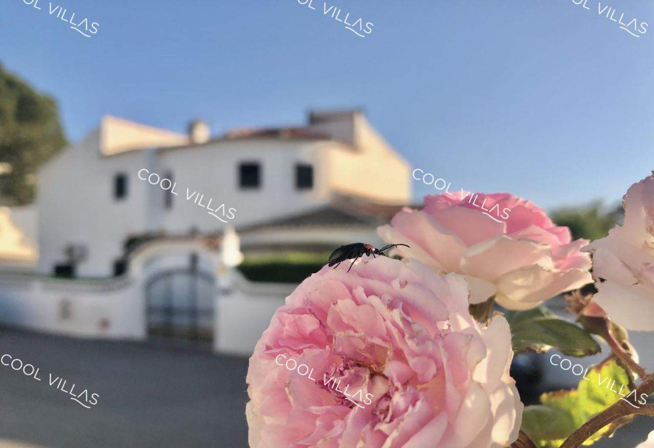 Pousada Lilac - Walking Distance To Albufeira