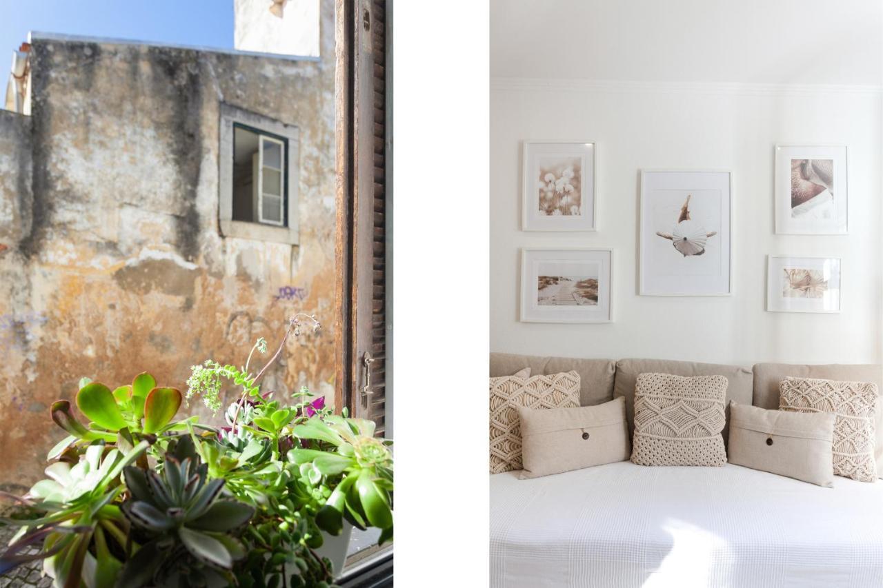 New! Nomad Dreams N.3