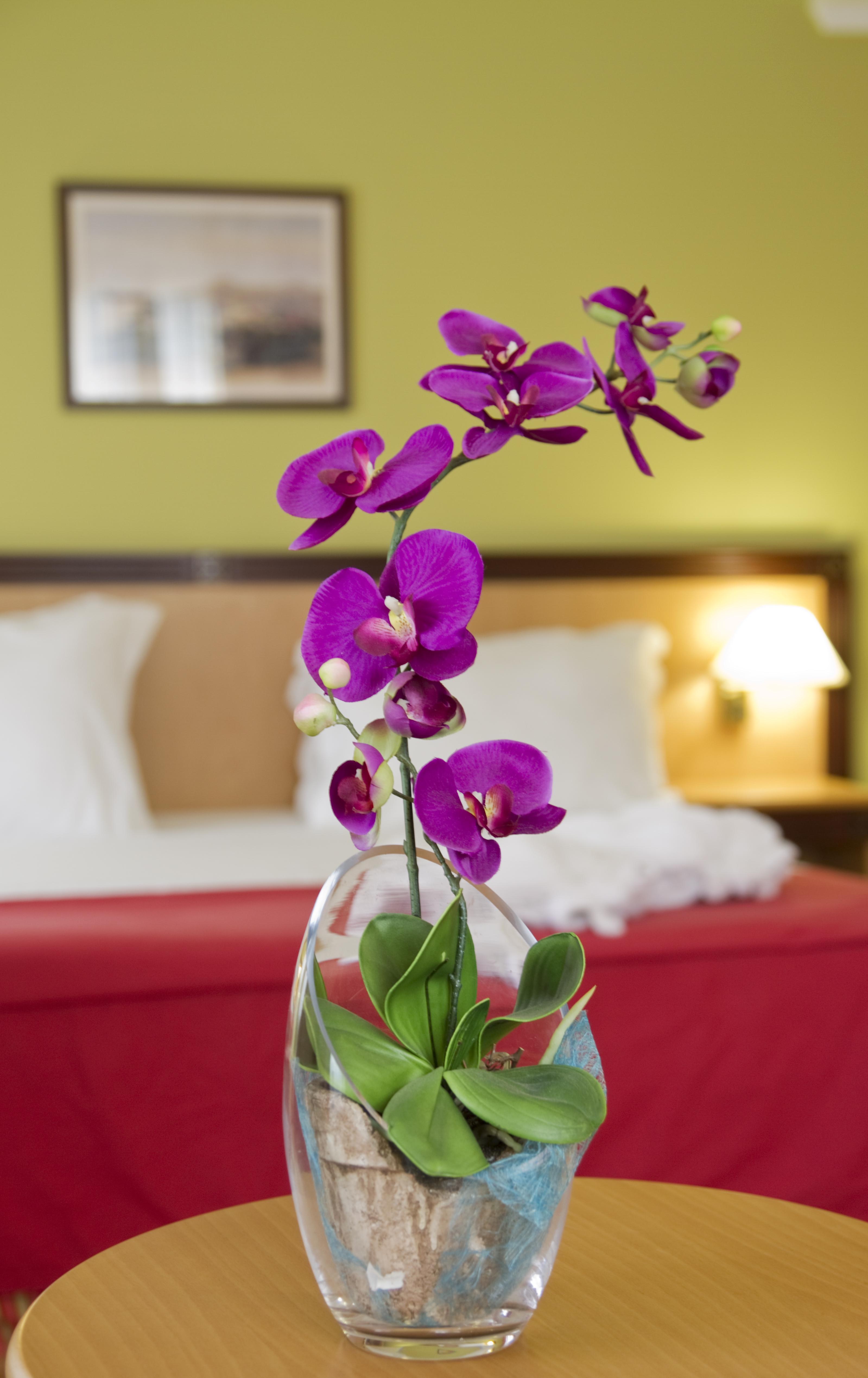Hotel Quinta Bela S Tiago Funchal (Madeira)