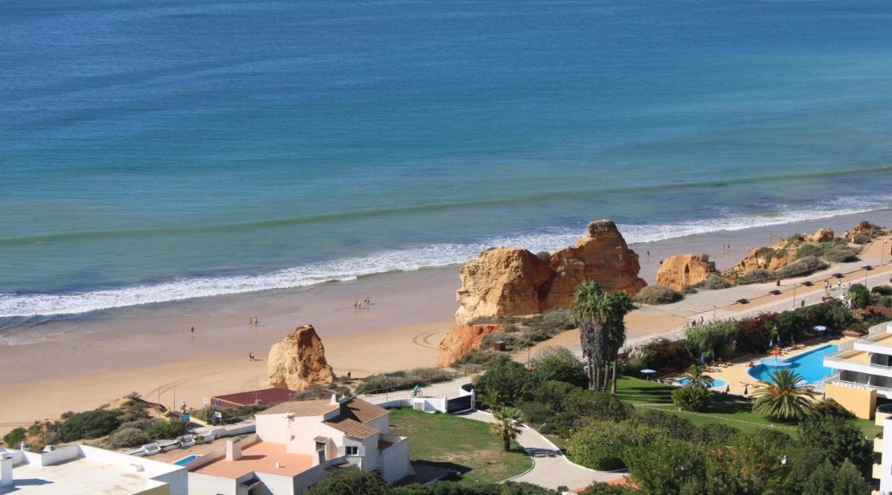 Casa Jardins Da Rocha Apartamento