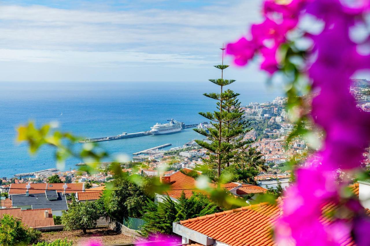 Ana's Place Appartement Funchal (Madeira)