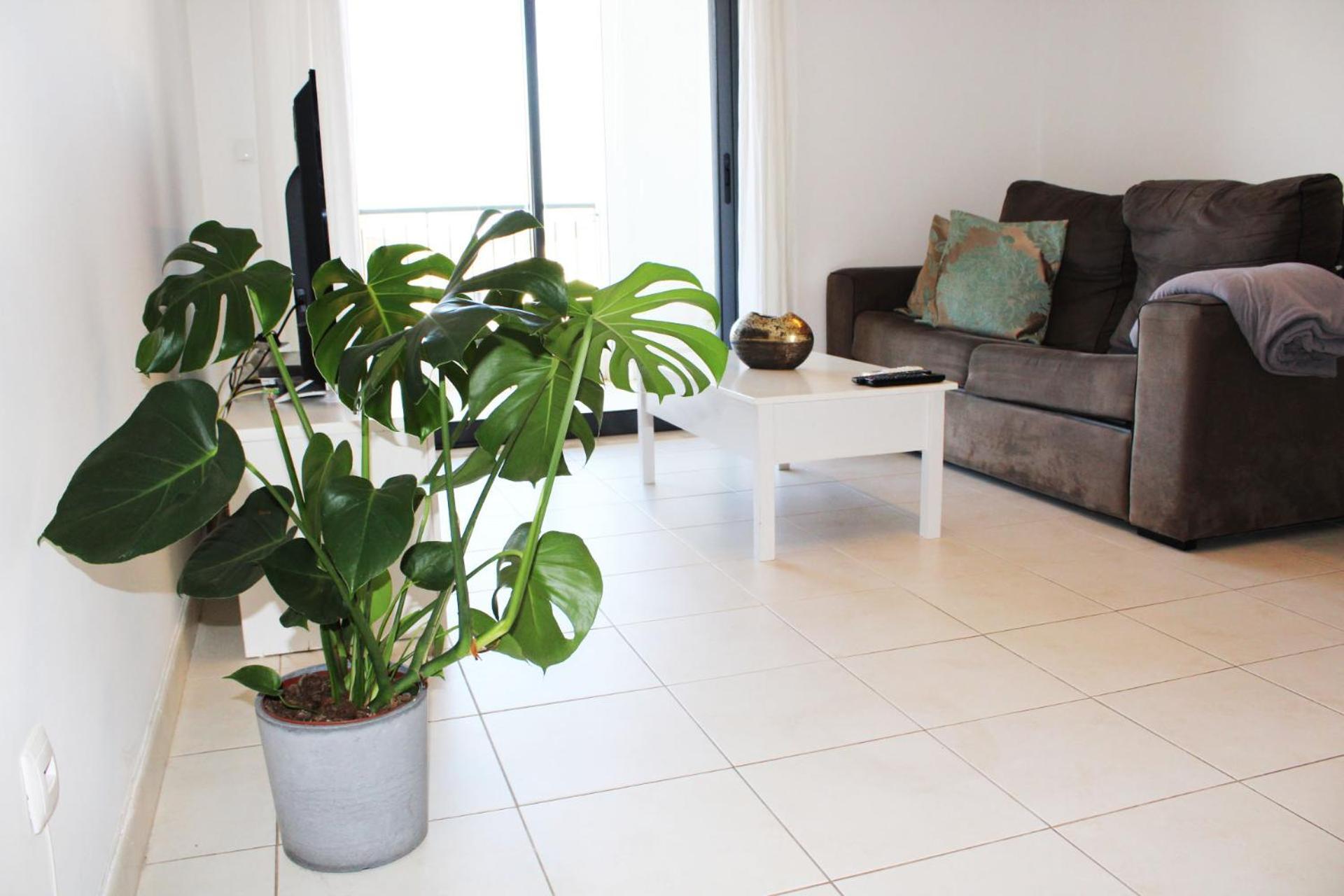 Appartement With Terrace Olhos De Agua