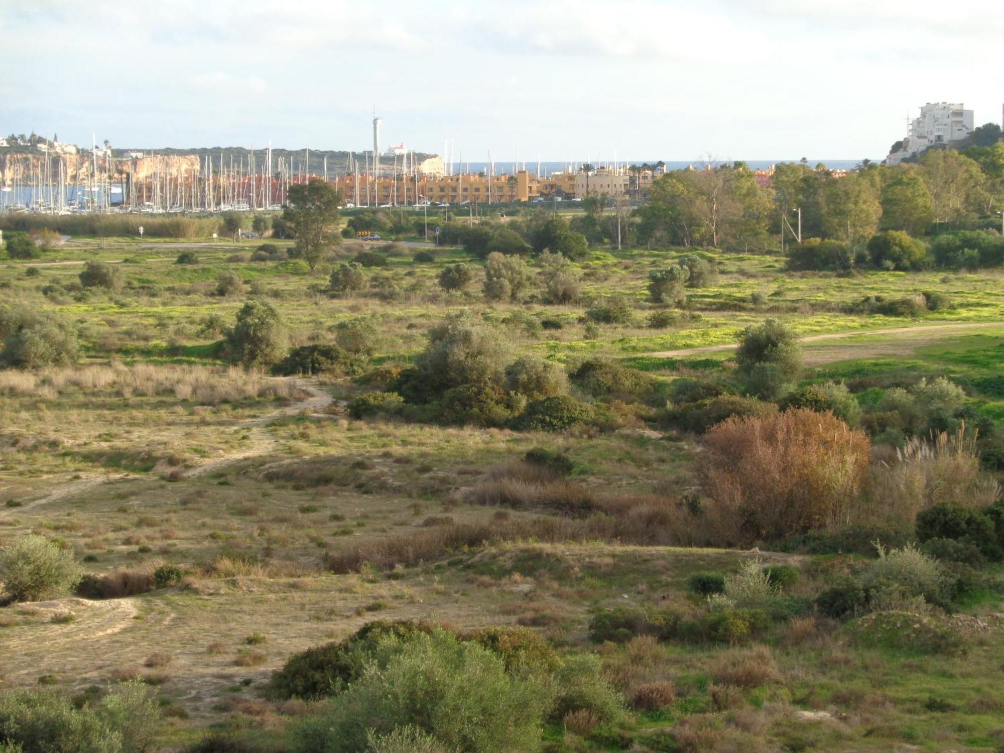 Arade Mar