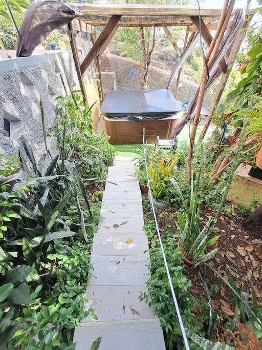 Holiday home Granny House Madeira Funchal (Madeira)