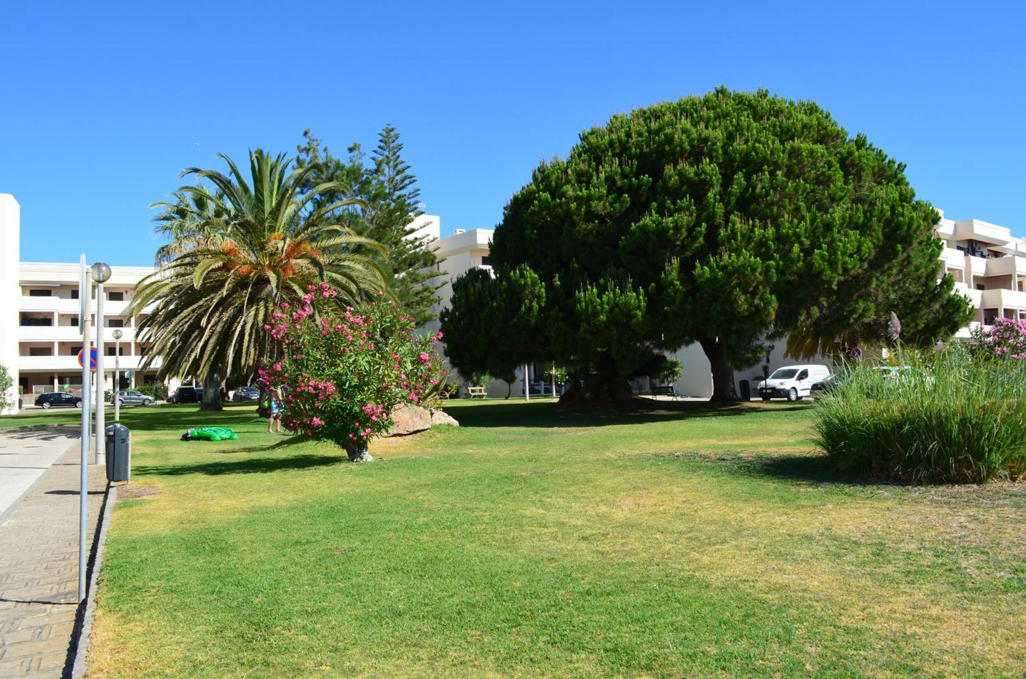 Apartamento Above The Beach, 10 Min From The Center - Casa Da Tartaruga Lagos