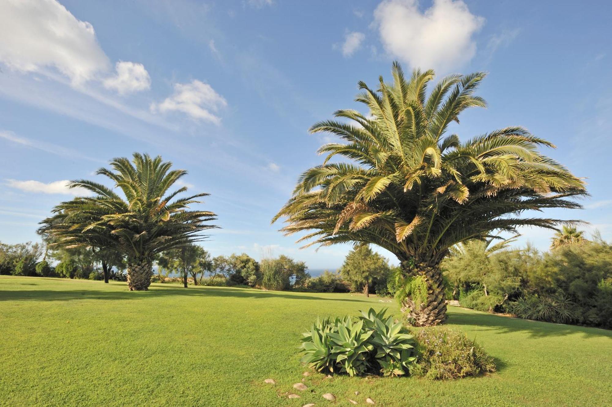 Pestana Ocean & Conference