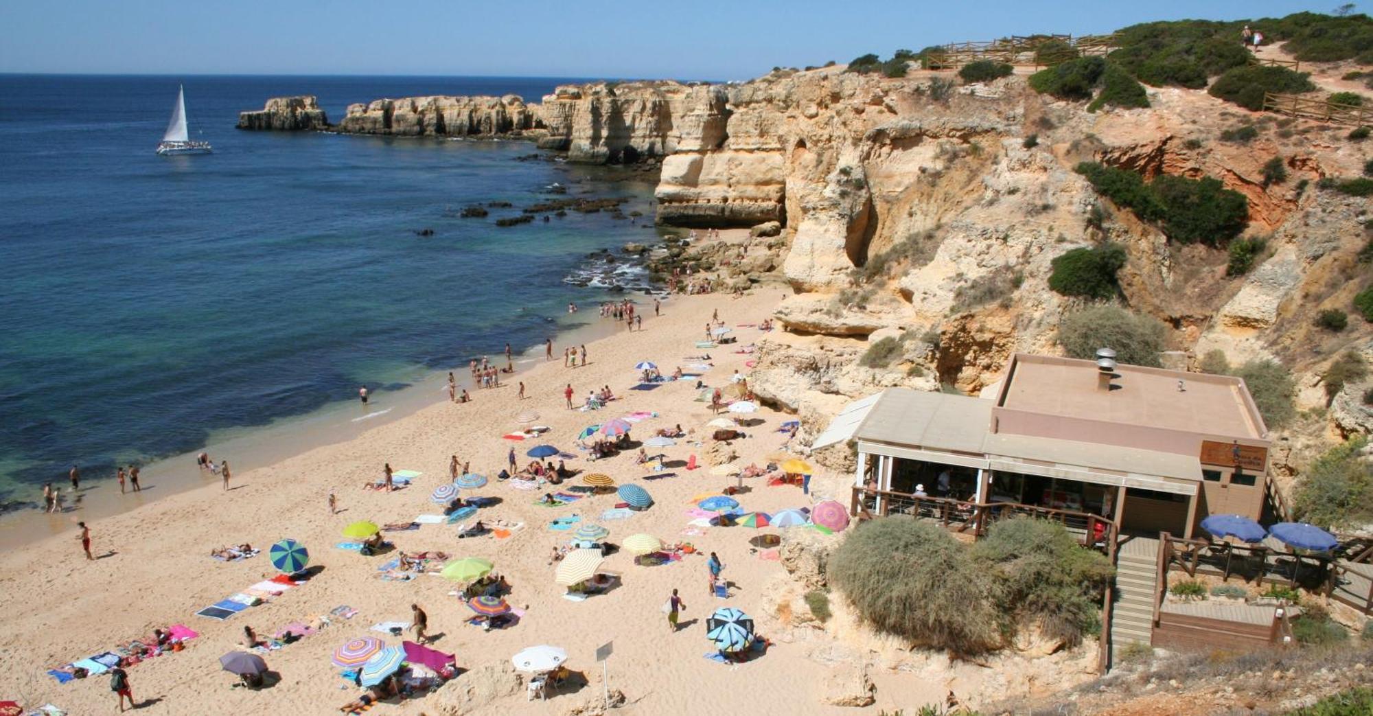 Apartamento Pine Tree - Da Coelha - *