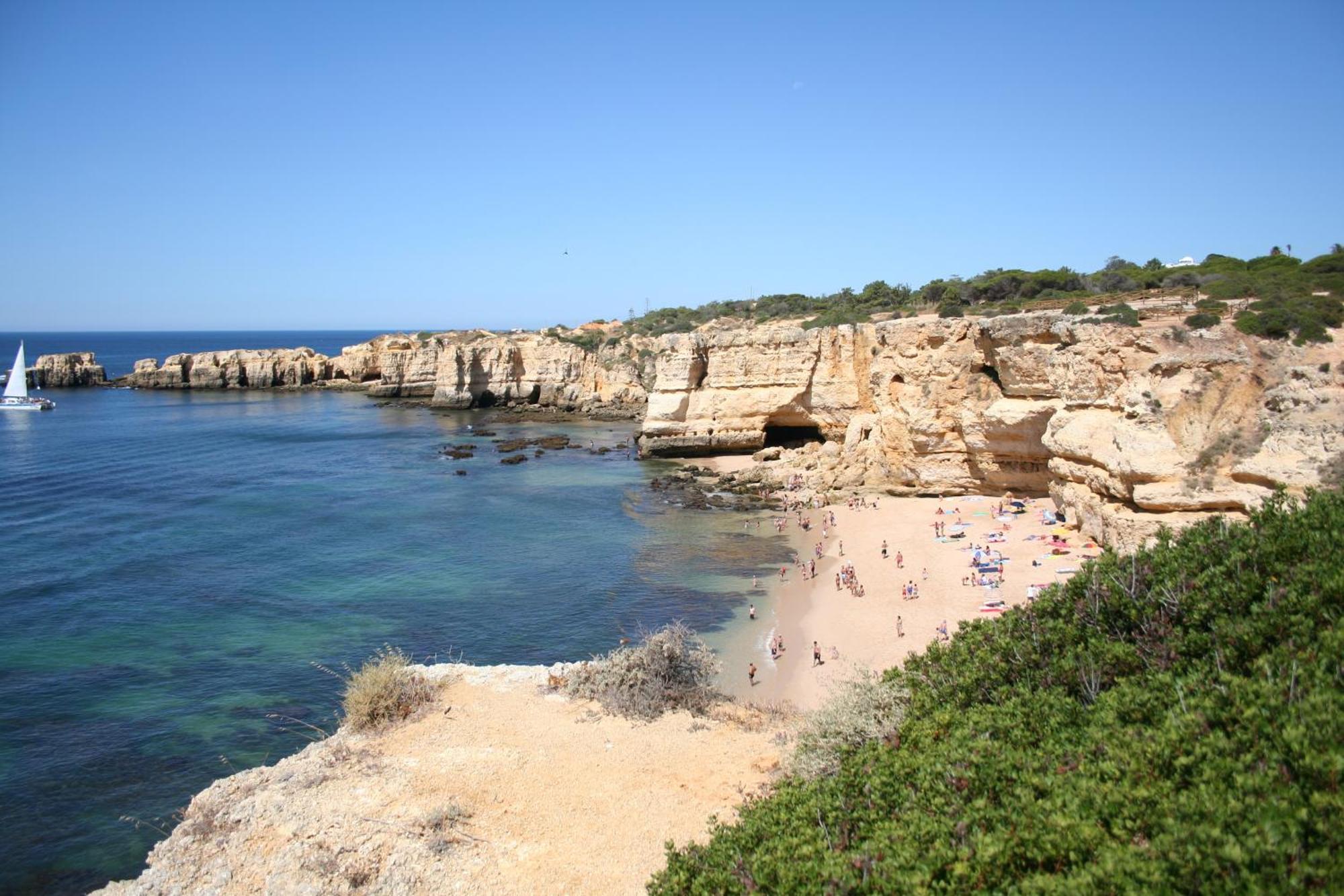 Apartamento Pine Tree - Da Coelha - *