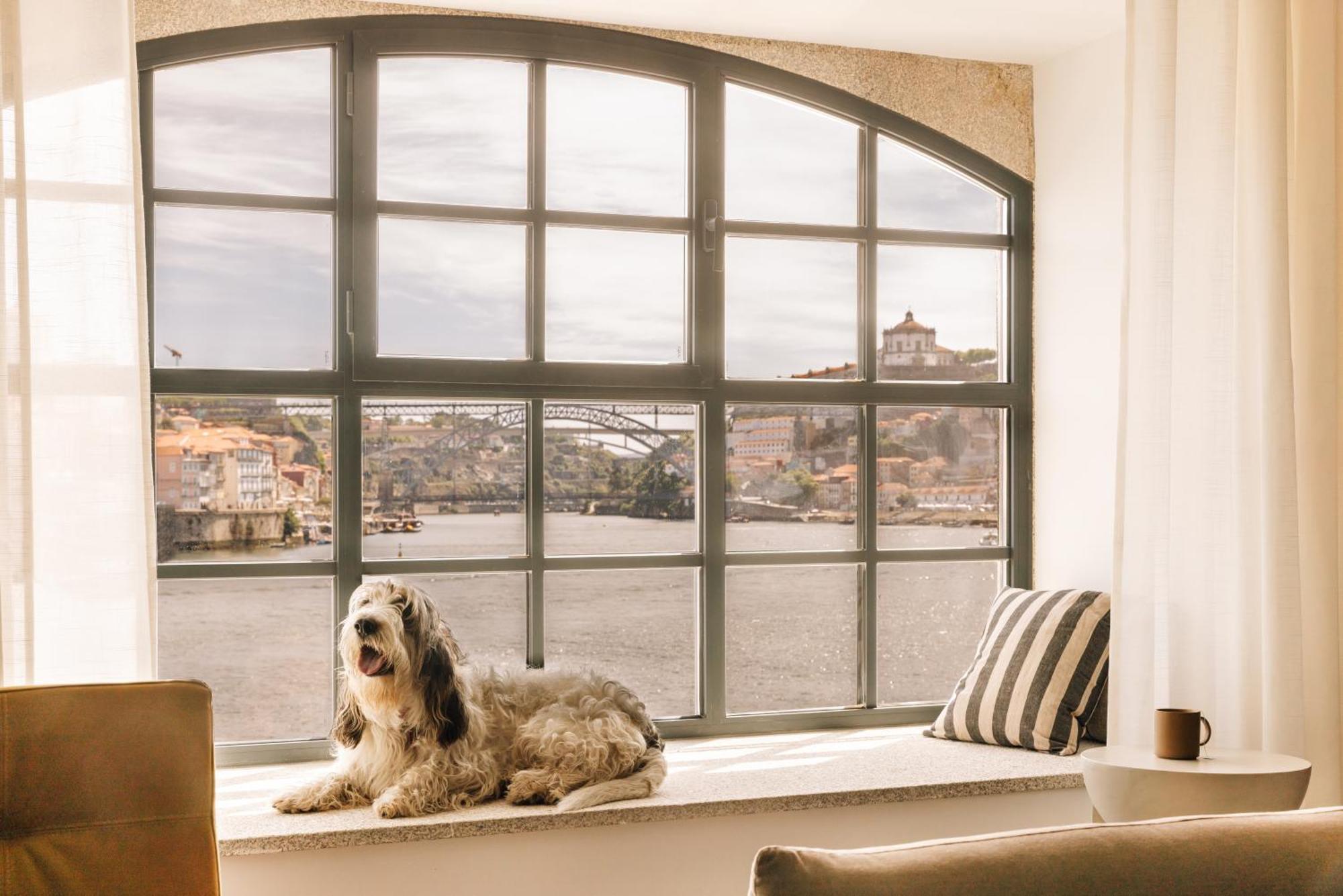 The Rebello & - Small Luxury Of The World