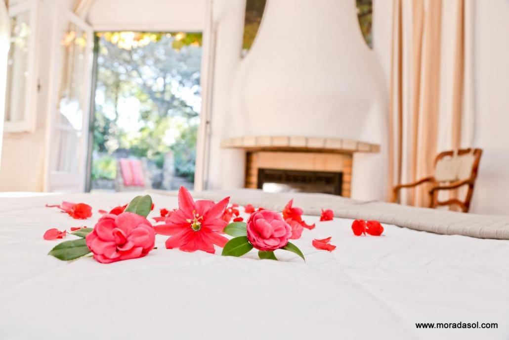 Morada Sol - In Holiday home Cascais