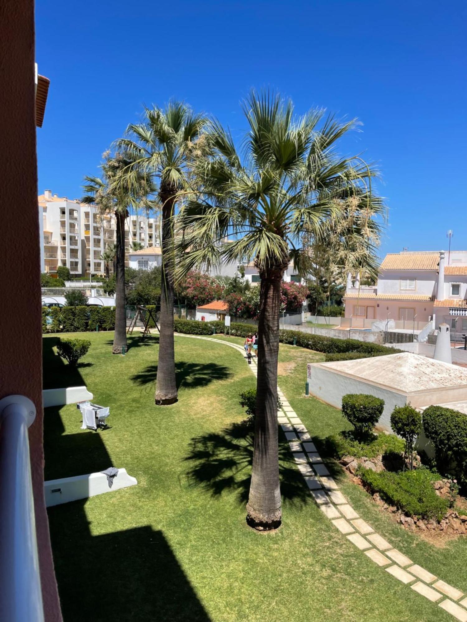 Apartment Belavista *