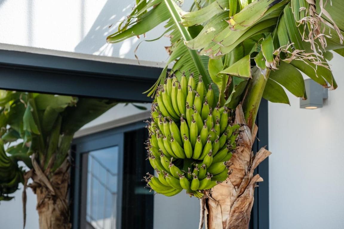 Guestready - Anakaj House Guest house Funchal (Madeira)