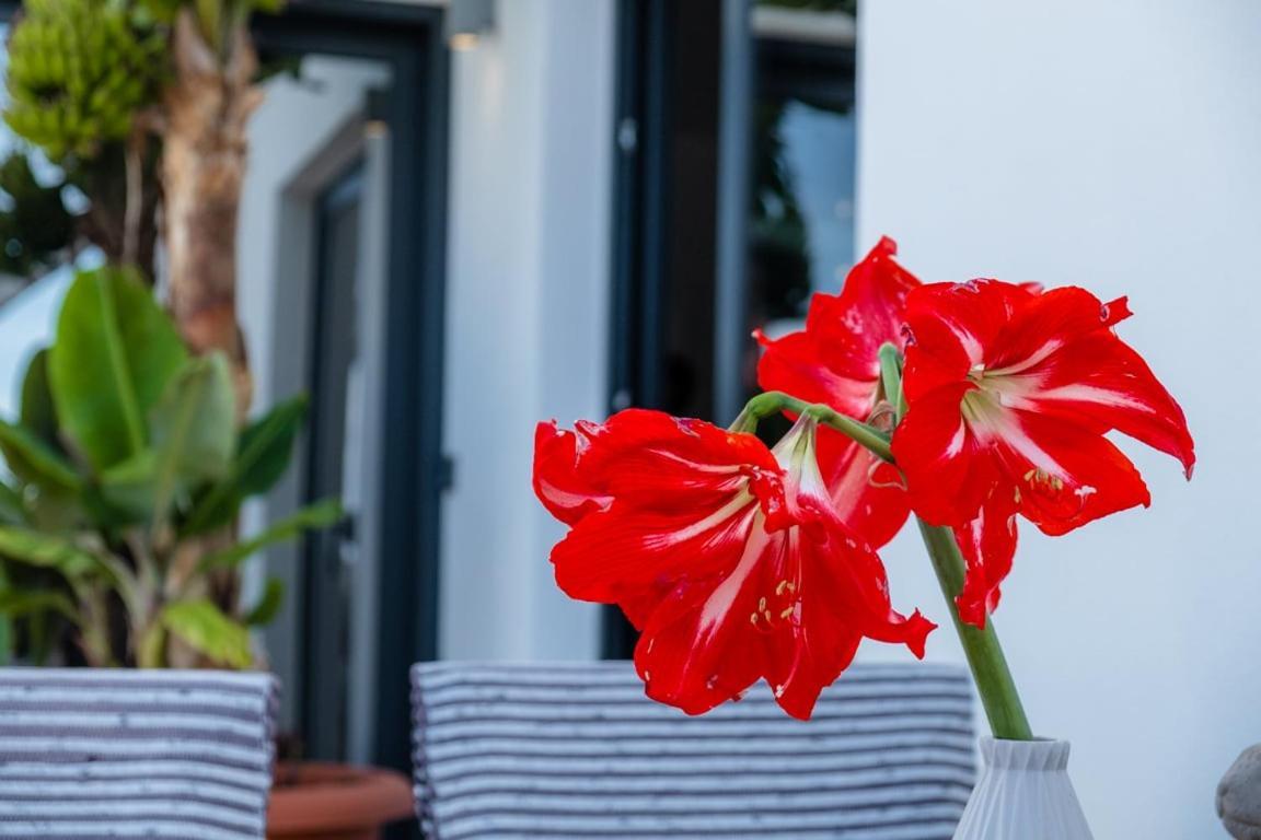 Guestready - Anakaj House Guest house Funchal (Madeira)