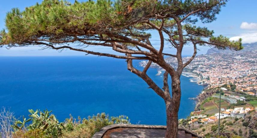 Berco Funchal (Madeira)