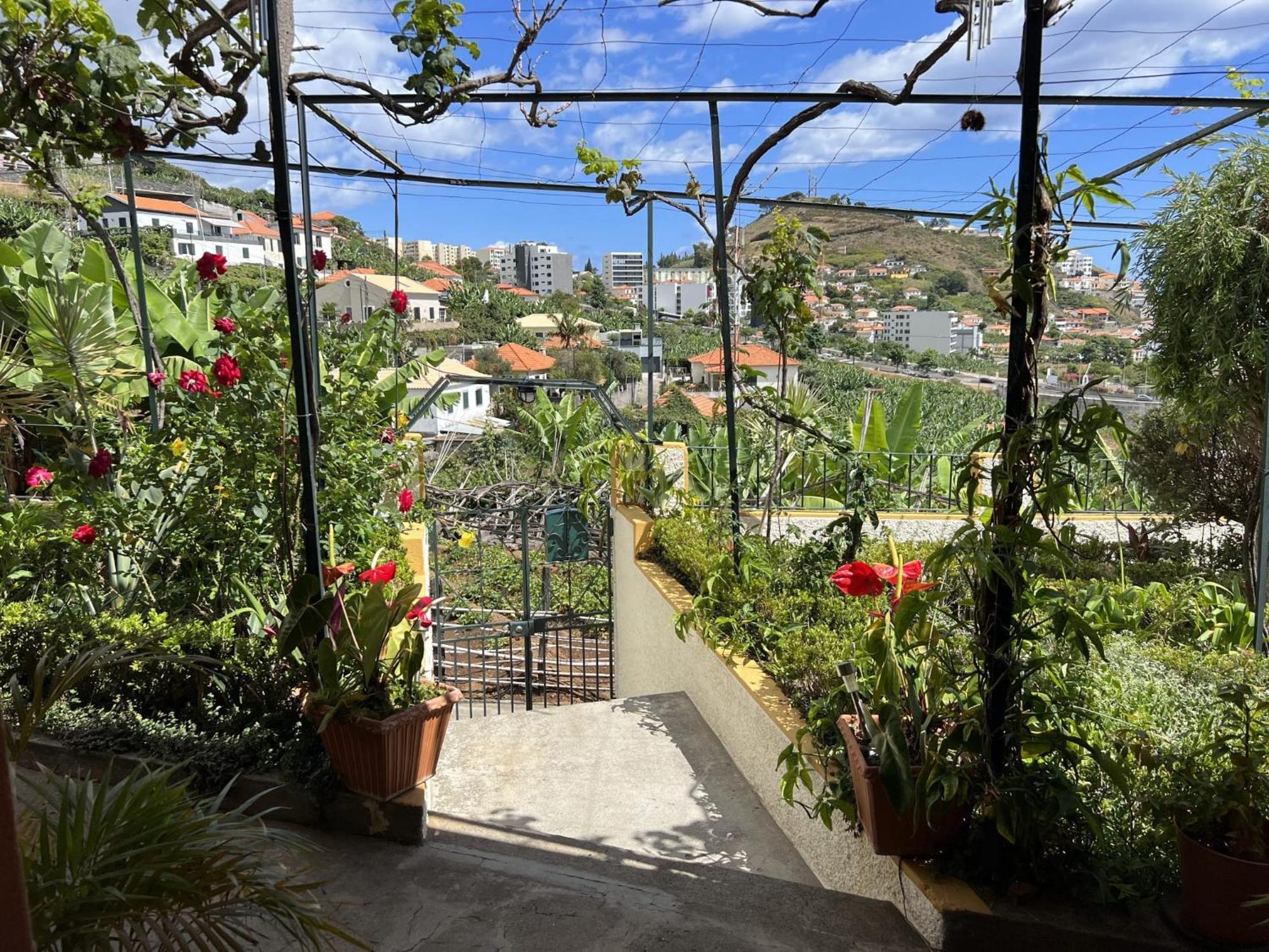 Holiday home Chinchilla's House Madeira Style *