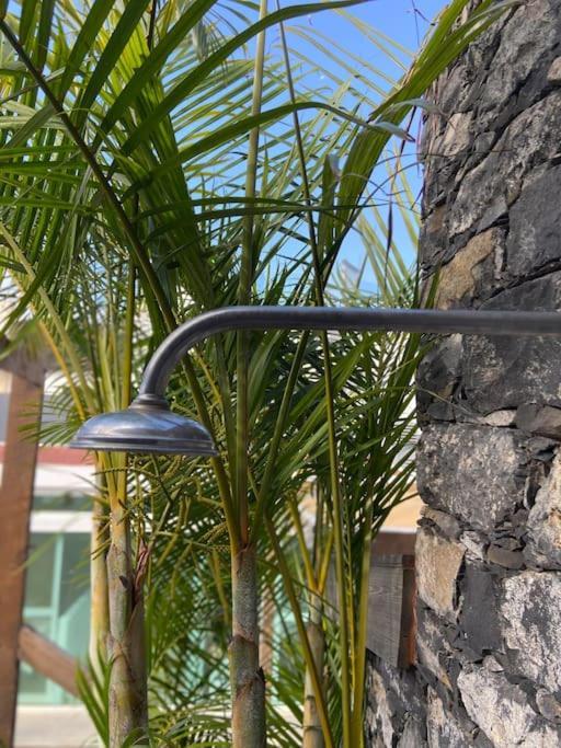 Apartamento Chc Rochinha Funchal (Madeira)