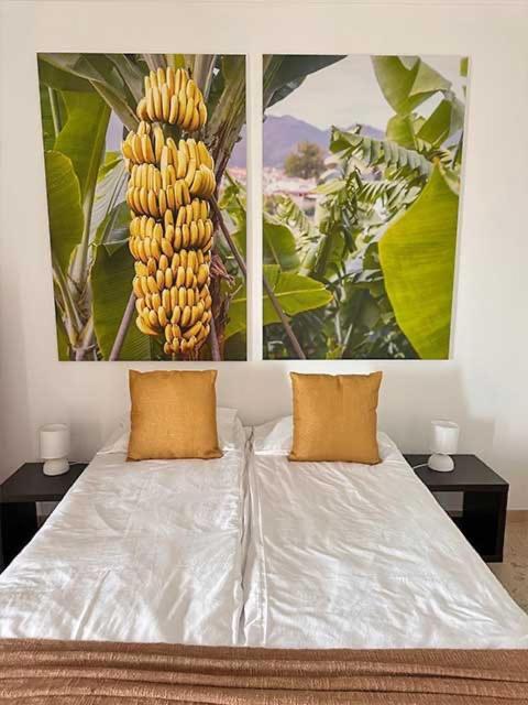 Inn Casa Valhalla Funchal (Madeira)