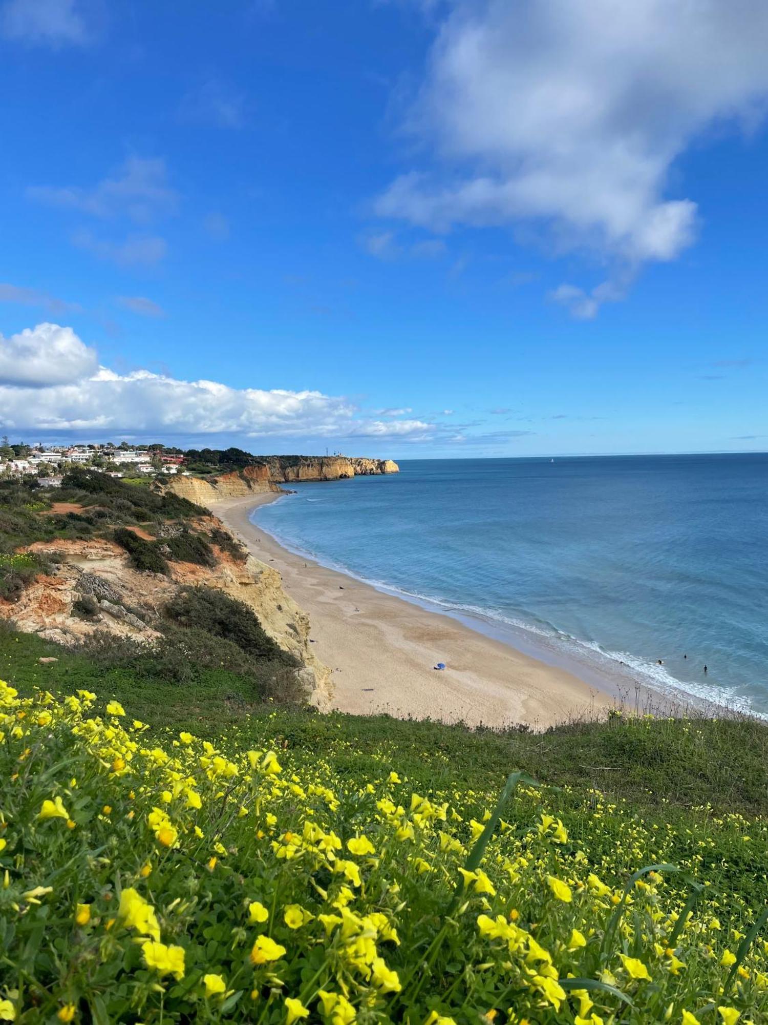 Magnolia Mar Ocean View *