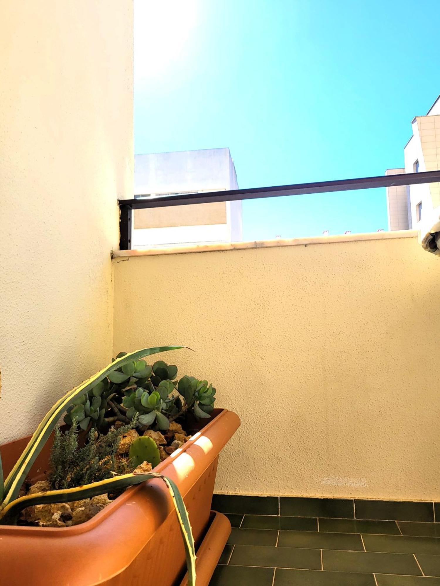 Miami De Portugal Apartamento