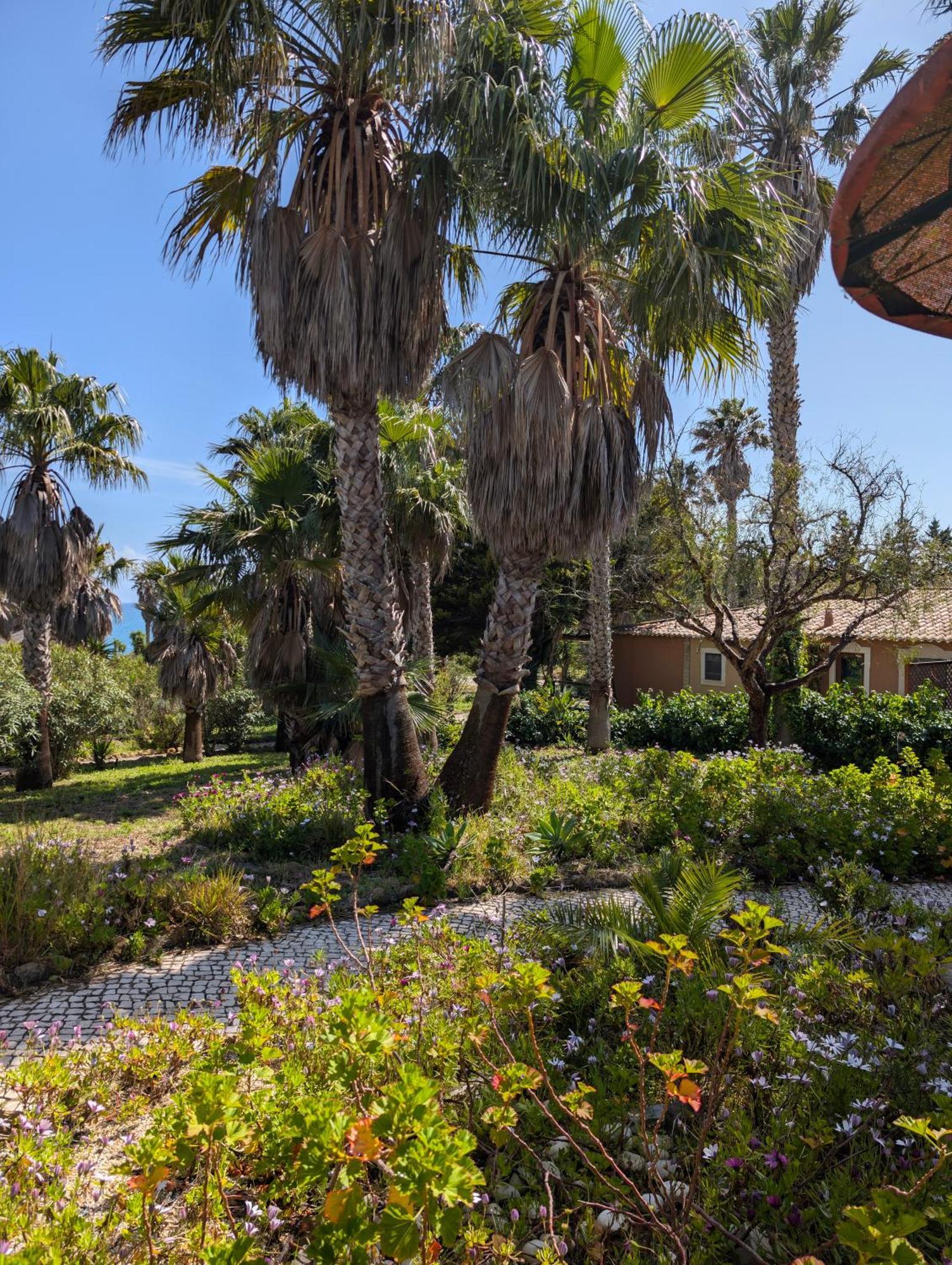 Quinta Do Mar - Country & Sea Village Holiday park 3*