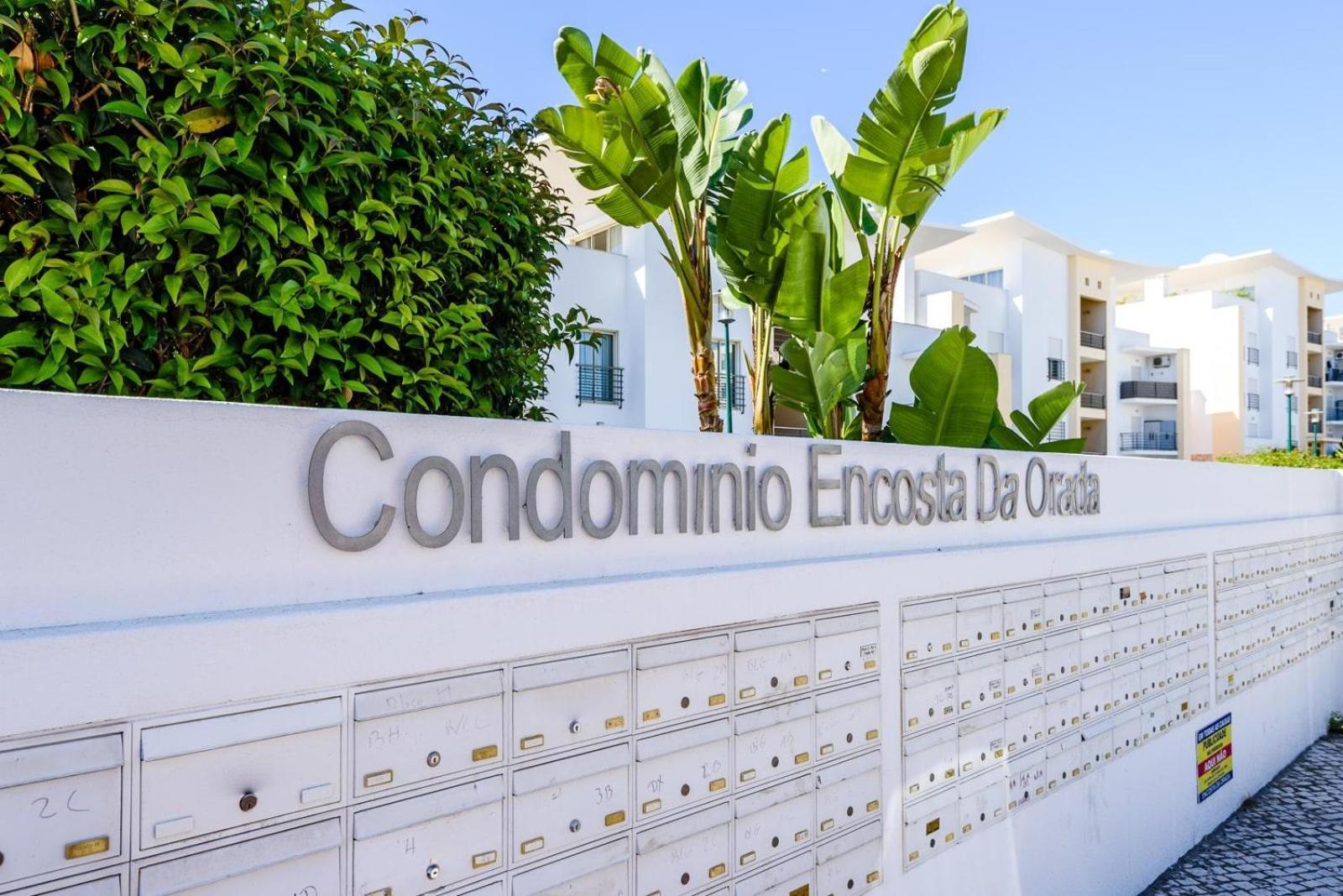 Homes Ocean View With Lovely Terrace, 2 Swimming Pools & Tennis Court Apartment *