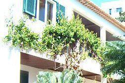 Hotel Vicencia Funchal (Madeira)