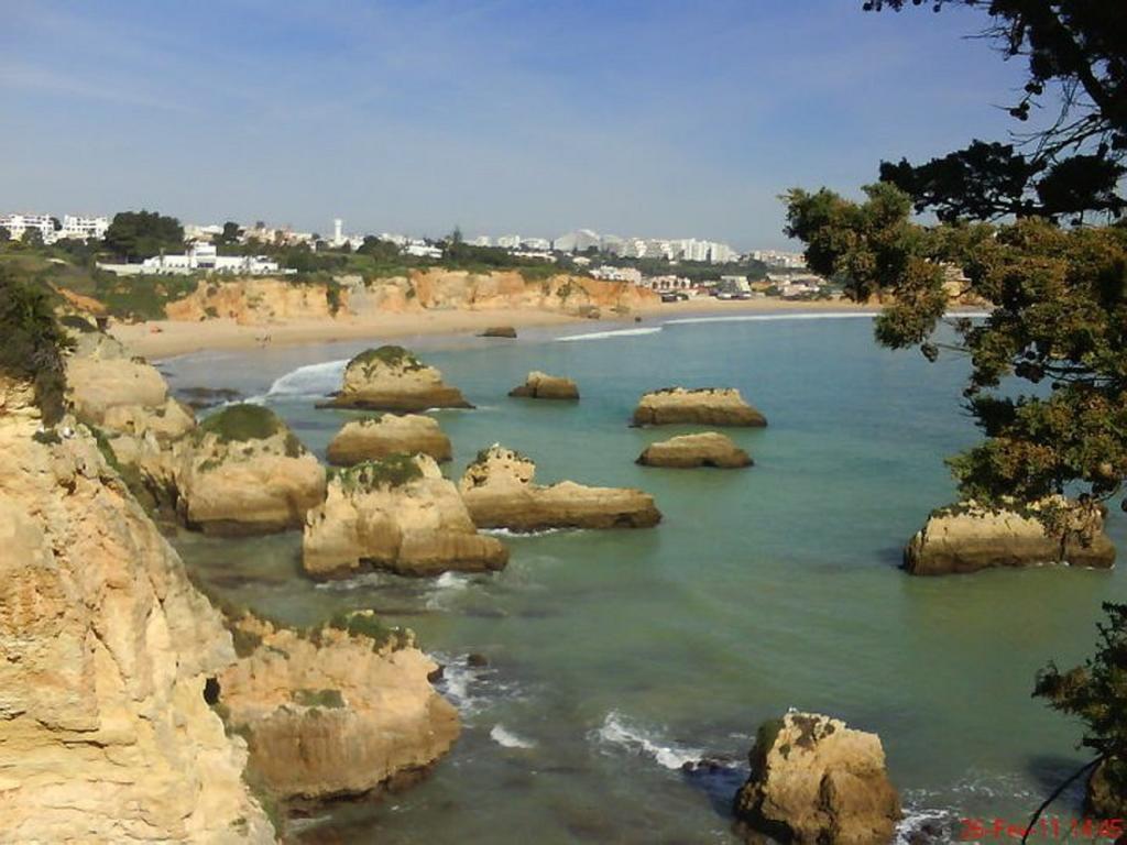 Coral Do Vau