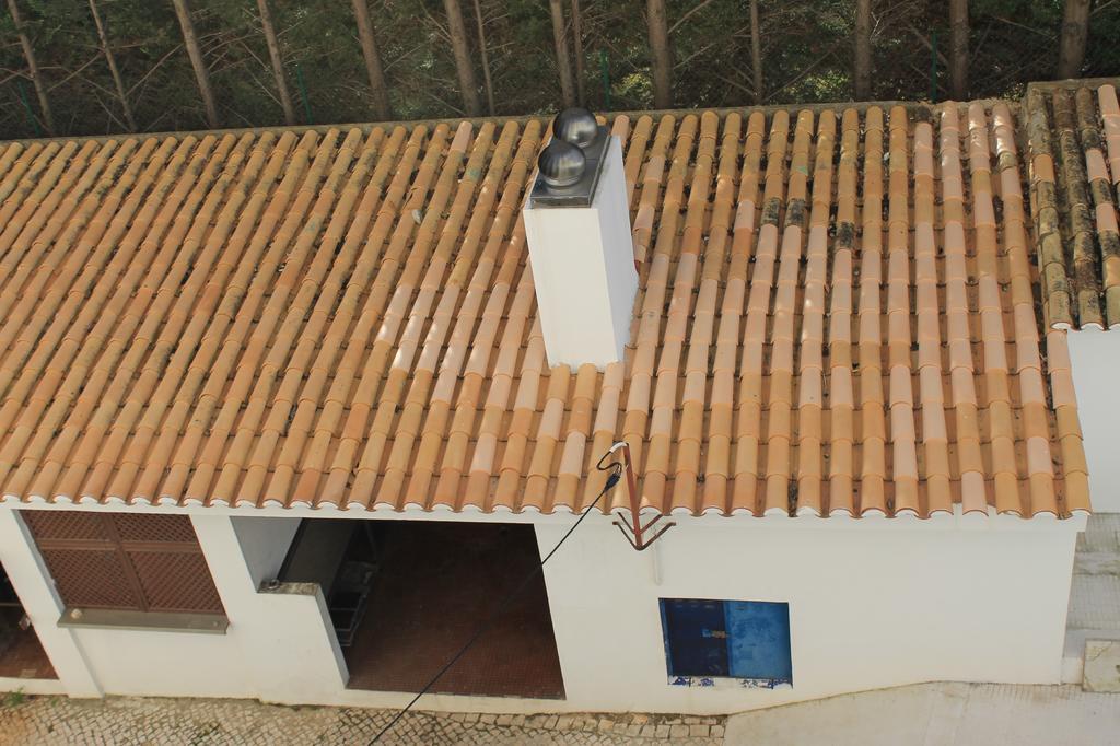 Julio Dinis *