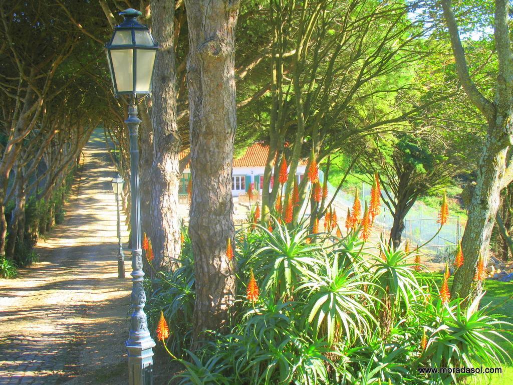 Morada Sol - In * Cascais