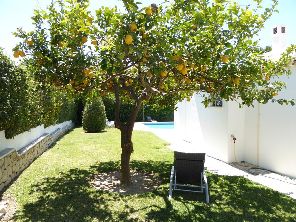 Villa Strip By Check-in Portugal